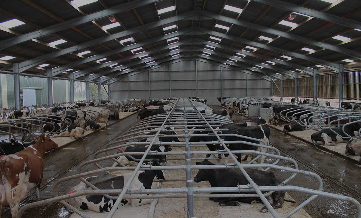 Manufacturers Of Equipment For Livestock Housing 6457